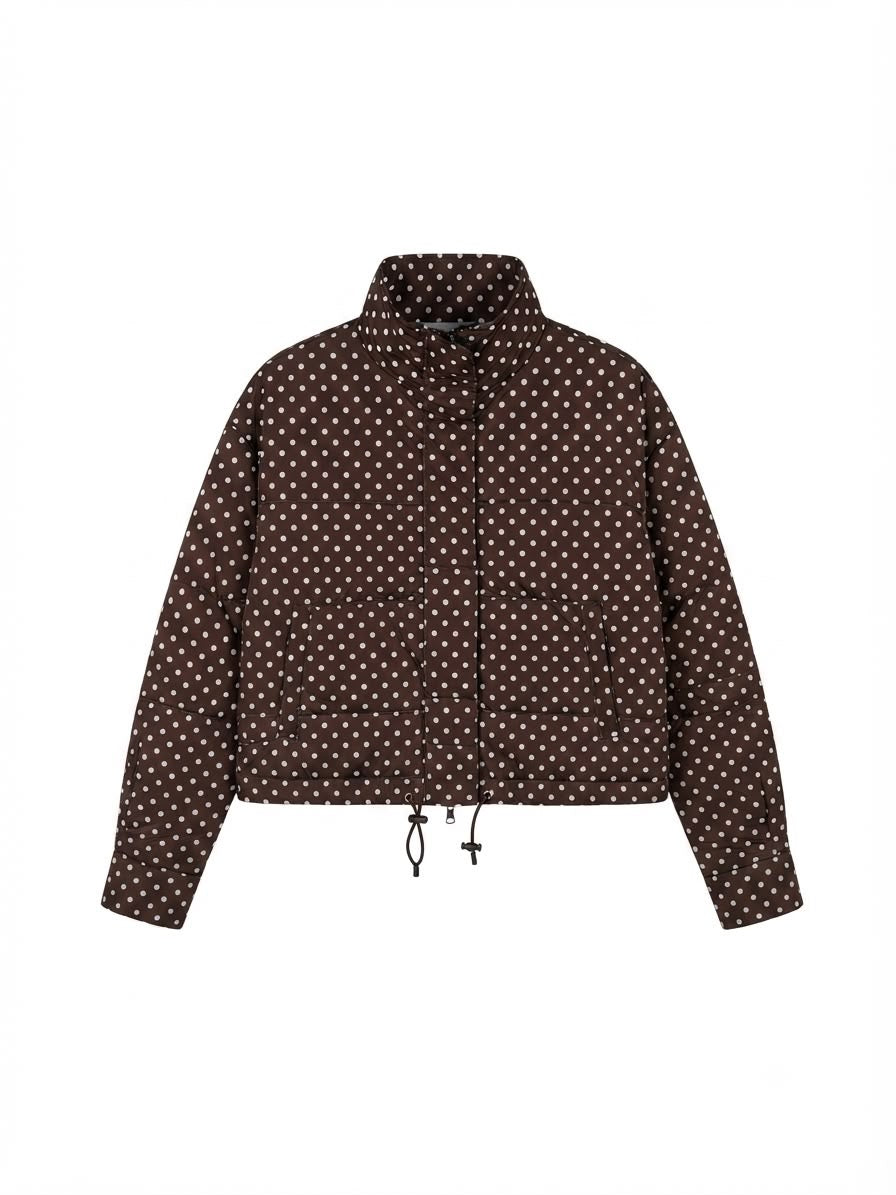 BLUSA CAFÉ MANGA LARGA POLKA